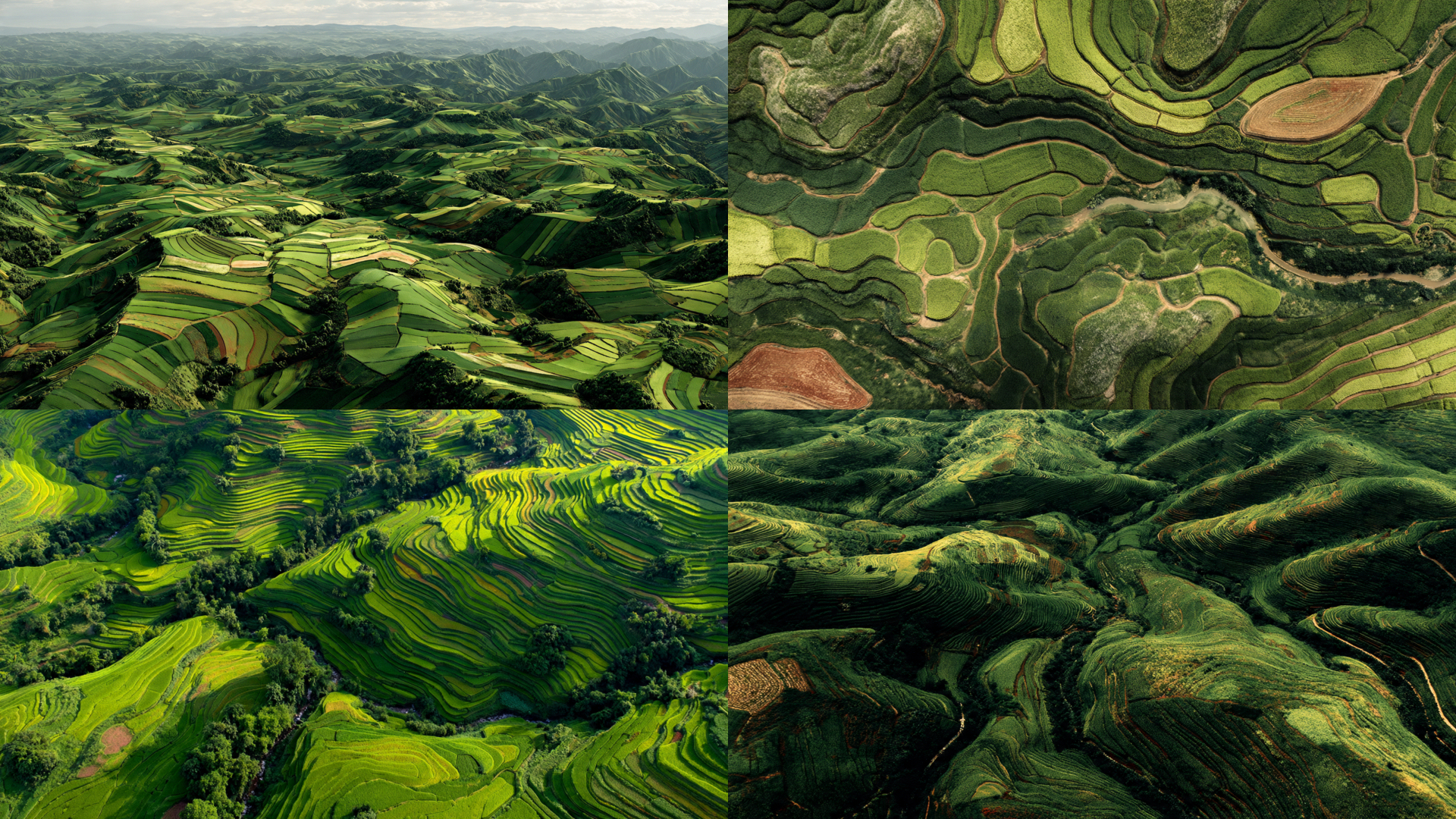 Fields of Green